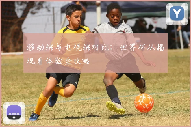 移动端与电视端对比：世界杯从播观看体验全攻略