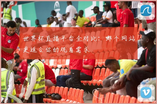 世界杯直播平台全对比：哪个网站更适合你的观看需求