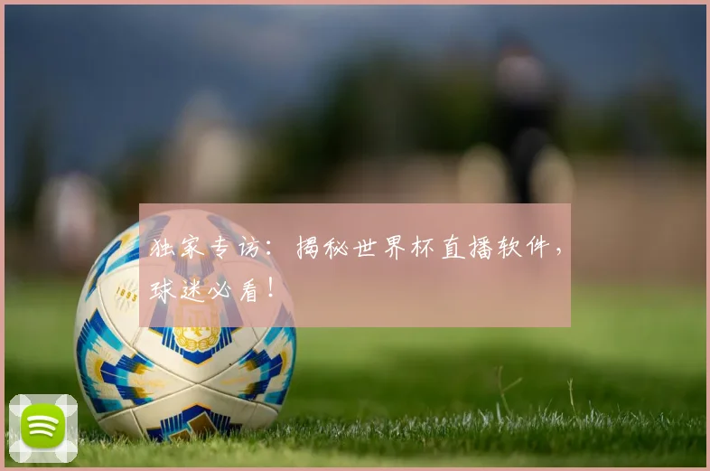 独家专访:揭秘世界杯直播软件,球迷必看!