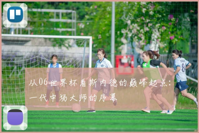 从06世界杯看斯内德的巅峰起点：一代中场大师的序幕