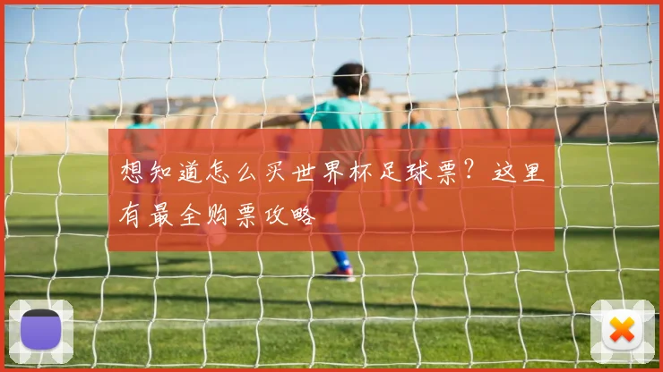 想知道怎么买世界杯足球票？这里有最全购票攻略